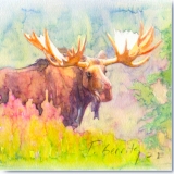 Alaskan Moose Watercolor by Gerrity