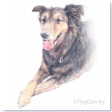Peg Gerrity Pet Portrait of Atticus for Melanie Connolly