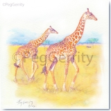 Giraffe_Gerrity_POP