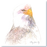 Juneau Eagle Watercolor Gerrity