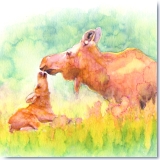 Alaskan Moose Mom and Calf Watercolor by Gerrity