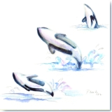 Orca Leaping Watercolor Kenai Fjords by Gerrity