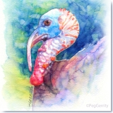 Watercolor of Texas Wild Turkey by Peg Gerrity