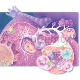 209 Aspergillus - Fungus in Lungs