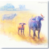 Cape Buffalo Watercolor by Gerrity