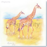 Giraffe_Gerrity_POP