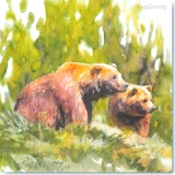 Alaskan Coastal Brown Bears Watercolor by Gerrity