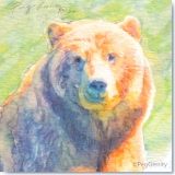 Grizzly Bear Hugo from AWCC Watercolor by Gerrity