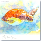 Sea Turtle Watercolor by Gerrity