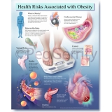 Obesity Poster 447