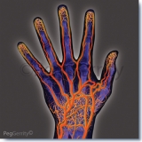 Arteriogram-of-Hand-and-Arm-297