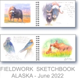 Alaska Research - Watercolor Fieldwork Sketchbook by Gerrity