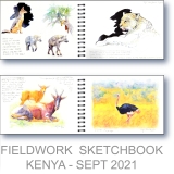 Kenya Research - Watercolor Fieldwork Sketchbook by Gerrity