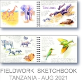 Tanzania  Research - Watercolor Fieldwork Sketchbook by Gerrity
