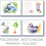 Rwanda Research - Watercolor Fieldwork Sketchbook by Gerrity