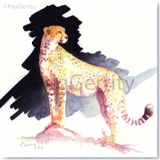 African Cheetah Watercolor by Gerrity